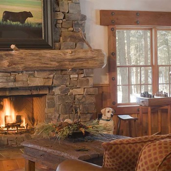 E-Comm: Dog Friendly Hotels, Paws Up Resort